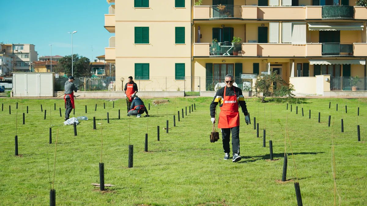 270323 - Viareggio_Conad_1.17.1.jpg